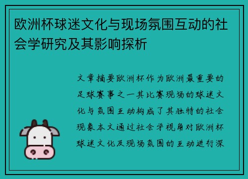 欧洲杯球迷文化与现场氛围互动的社会学研究及其影响探析