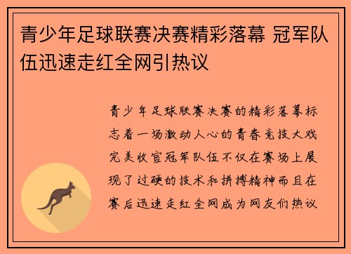 青少年足球联赛决赛精彩落幕 冠军队伍迅速走红全网引热议