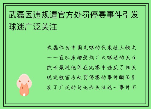 武磊因违规遭官方处罚停赛事件引发球迷广泛关注